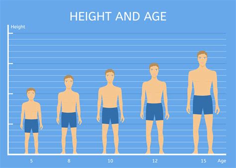 What is the average height growth after 18?