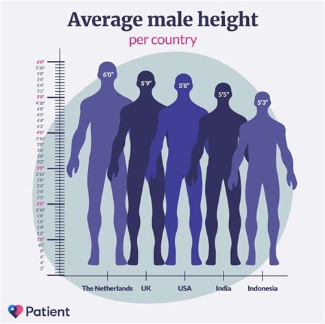 What is the average height of a Ukrainian man?