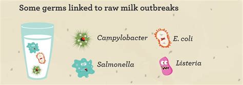 What is the bad bacteria in milk?