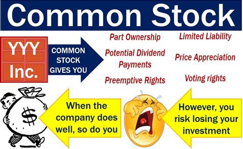 What is the basic common stock?