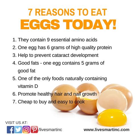 What is the benefit of eating 6 eggs a day?