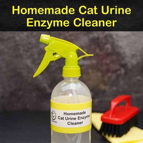 What is the best DIY pet urine remover?