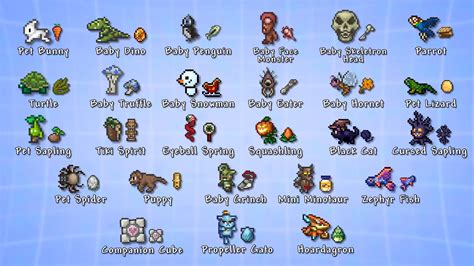 What is the best Terraria pet?