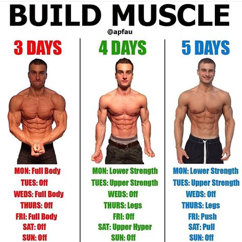 What is the best age to gain muscle?