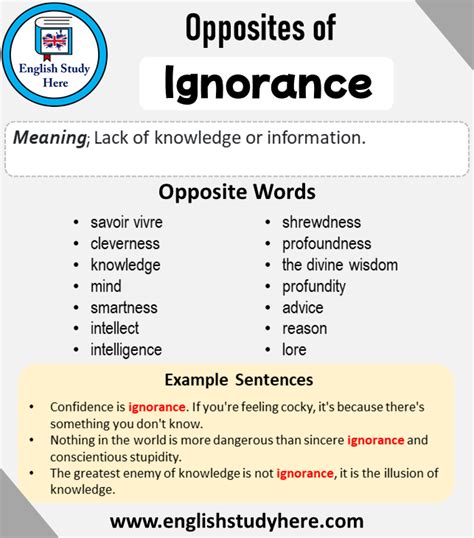 What is the best antonym for ignorance?