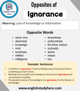 What is the best antonym for ignorant?