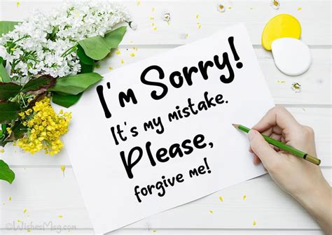 What is the best apology message?