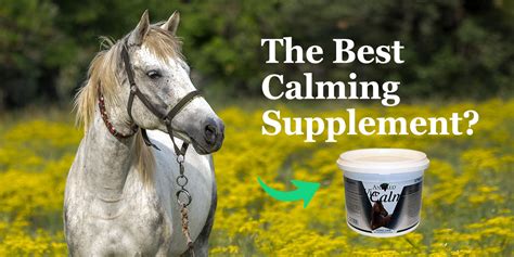 What is the best calming agent for horse?