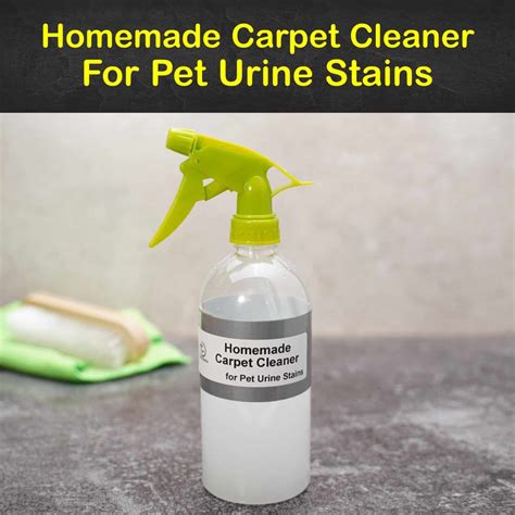 What is the best carpet cleaner for old urine stains?