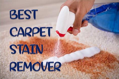 What is the best carpet stain remover?