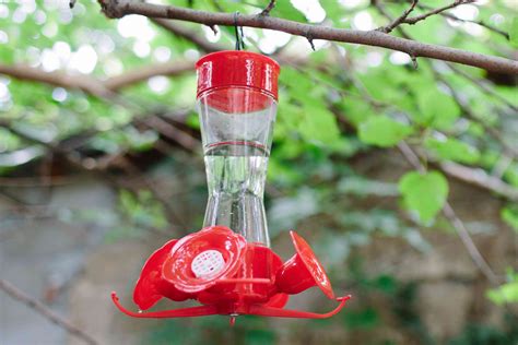 What is the best cleaner for hummingbird feeder?