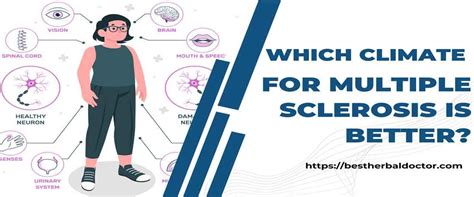 What is the best climate for multiple sclerosis?