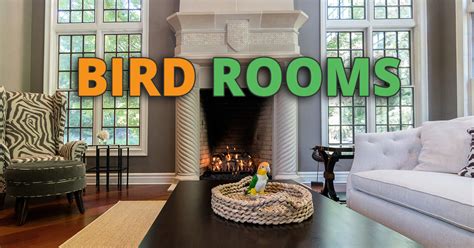 What is the best color for a bird room?