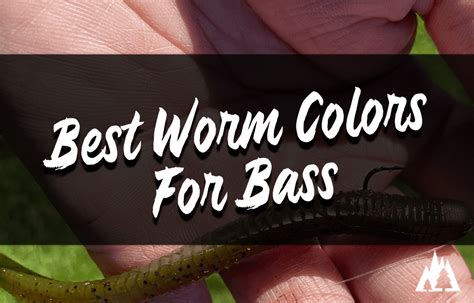 What is the best color worm for fishing?