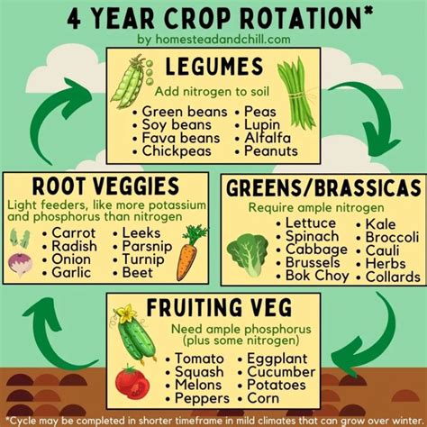 What is the best crop rotation?