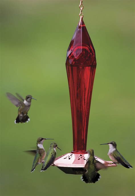 What is the best design for a hummingbird feeder?