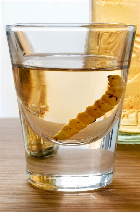 What is the best drink for worms?