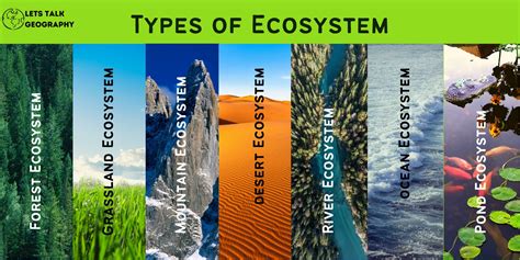 What is the best ecosystem in the world?