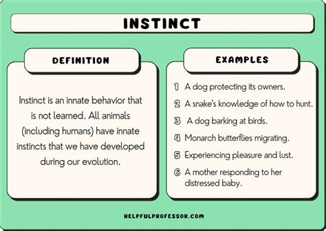 What is the best example of an instinct?