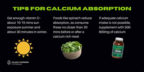 What is the best form of calcium for absorption?