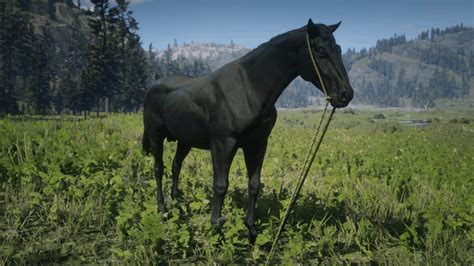 What is the best free horse in RDR2?