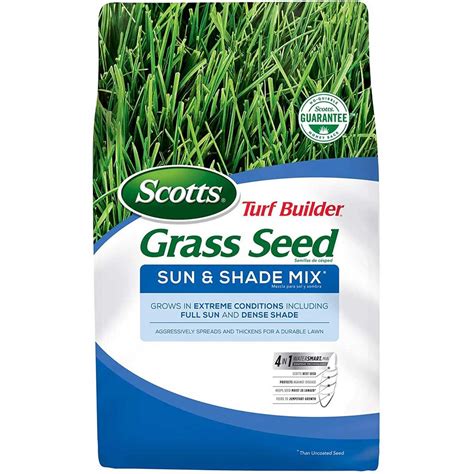 What is the best grass seed for hot dry weather?