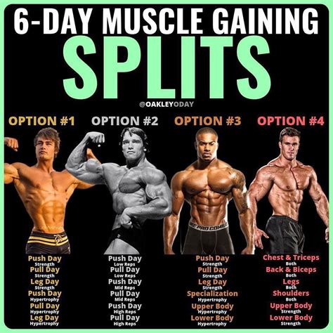 What is the best gym split?