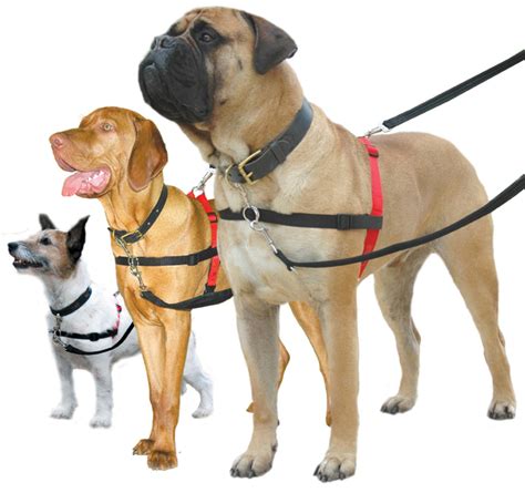 What is the best harness to stop a dog pulling?