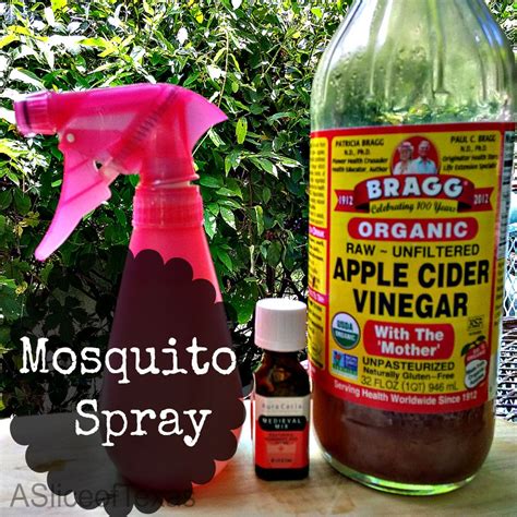 What is the best homemade bug spray?