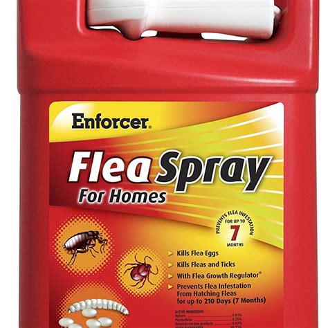 What is the best homemade flea killer for humans?