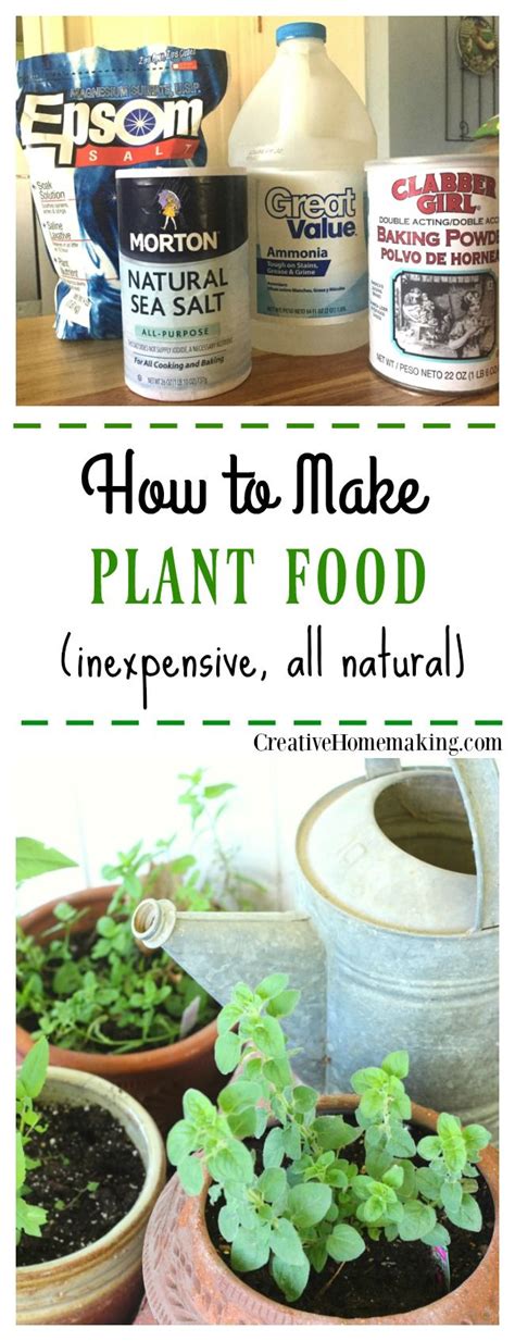 What is the best homemade plant food?