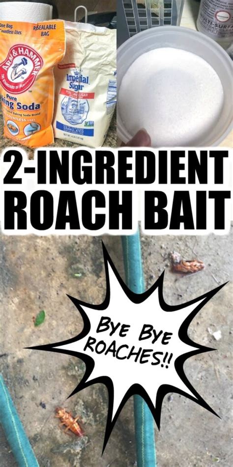 What is the best homemade roach killer?