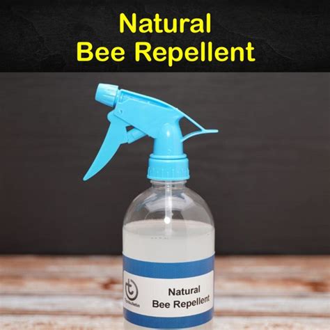 What is the best honey bee repellent?
