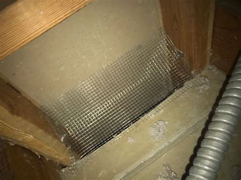 What is the best insulation to stop rodents?