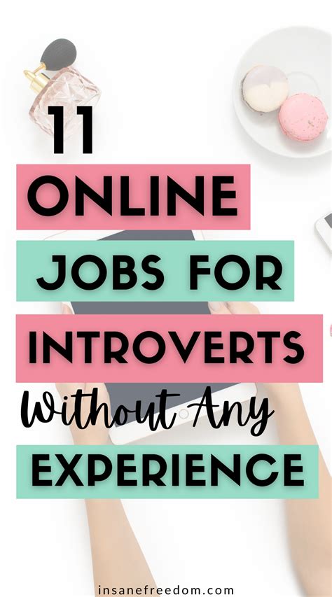 What is the best job for an introvert without experience?