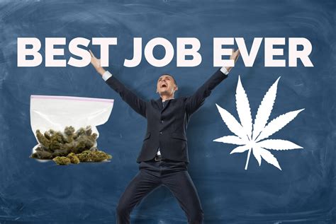 What is the best job for stoners?