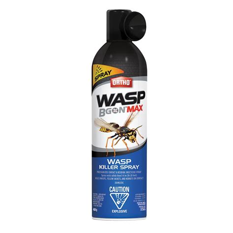 What is the best killer for wasps?