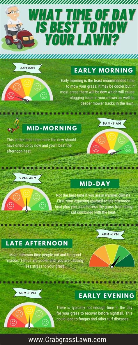 What is the best length to cut grass?