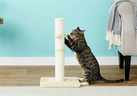 What is the best material for cats to scratch?