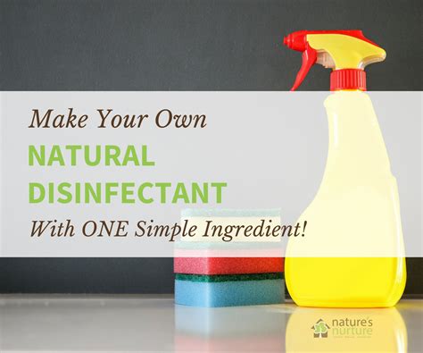 What is the best natural disinfectant?