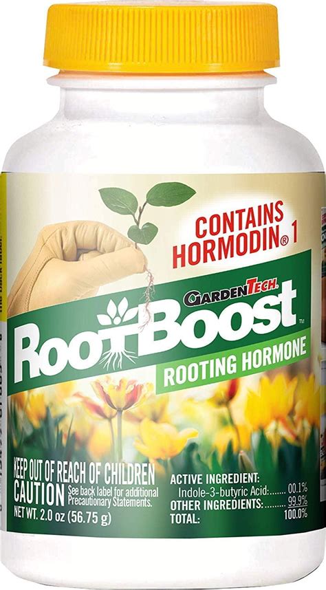 What is the best natural rooting hormone?