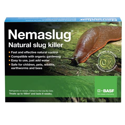What is the best natural slug killer?