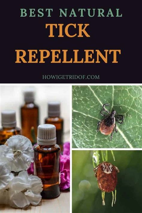 What is the best natural tick repellent?