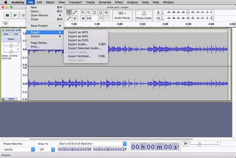 What is the best output format for Audacity?