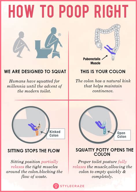 What is the best position to poop when constipated?
