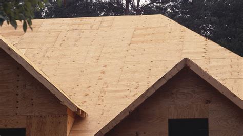 What is the best roofing plywood?