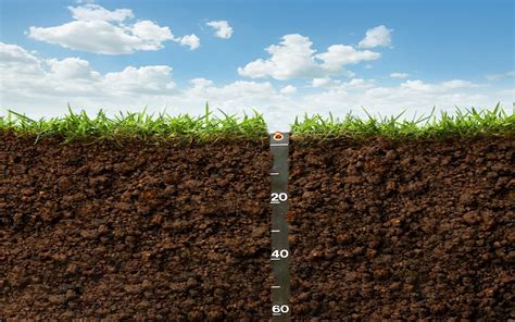 What is the best soil depth?