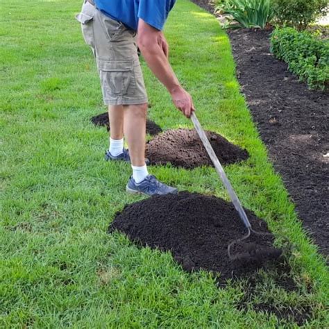 What is the best soil to fill holes in lawn?