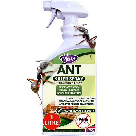 What is the best spray for ants indoors?