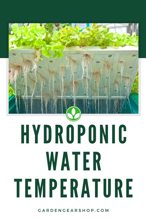 What is the best temperature for a hydroponic reservoir?